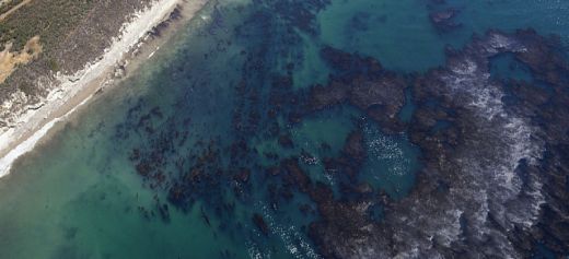 2 Ελληνίδες ανακάλυψαν υλικό για τον καθαρισμό πετρελαιοκηλίδων