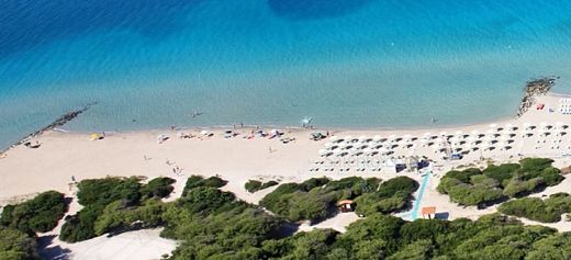 2 ελληνικές παραλίες στη λίστα με τις καλύτερες διακοπές για οικογένειες με μικρά παιδιά