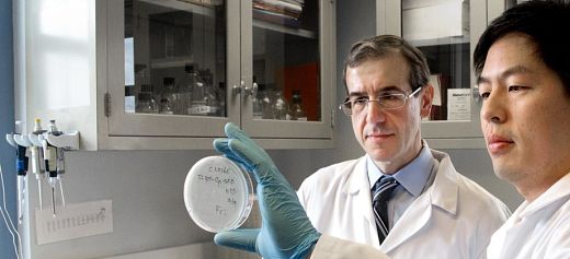 Έλληνας ερευνητής ανακάλυψε νέο αντιβιοτικό που μπορεί να καταστρέψει τα  “superbugs”