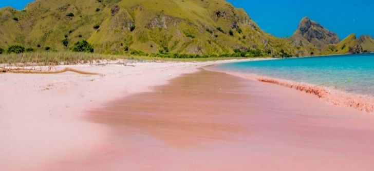 2 Greek beaches among the most beautiful pink beaches in the world