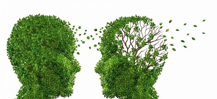 Έλληνες επιστήμονες βάζουν «φρένο» στην ανάπτυξη του Αλτσχάιμερ