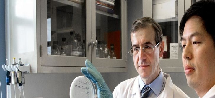 Greek researcher discovers potential antibiotic to kill superbugs