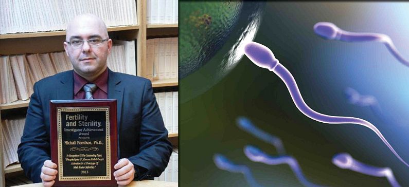 One step closer to the treatment of male infertility
