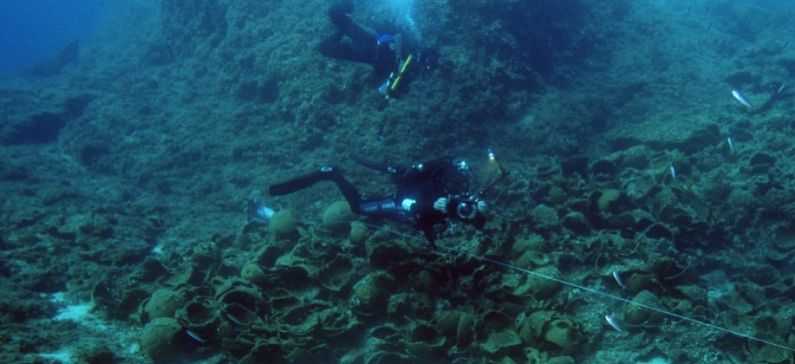 22 ancient shipwrecks discovered near Greek island