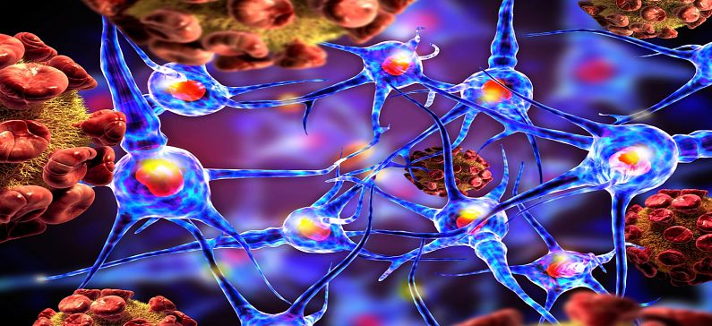 Greek researcher sheds light in Parkinson’s mechanism in the brain