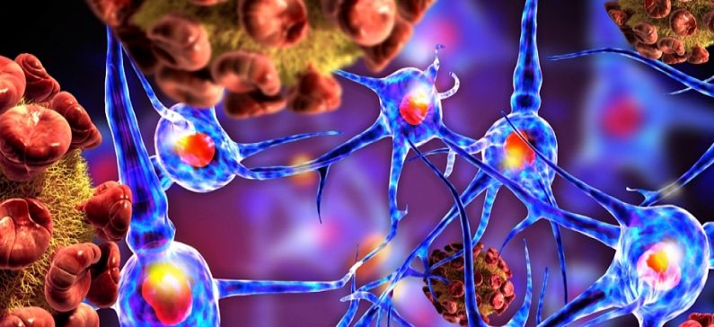 Greek researcher sheds light in Parkinson’s mechanism in the brain