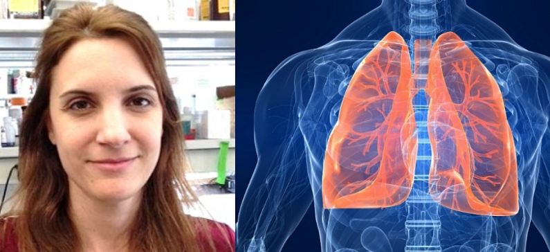 Κορυφαία διάκριση για 3 Έλληνες ερευνητές στον τομέα της Πνευμονολογίας