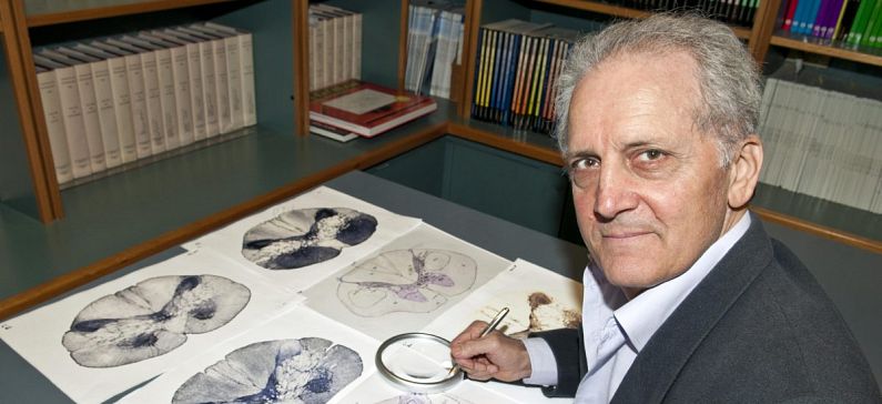 Έλληνας καθηγητής τιμήθηκε για τη χαρτογράφηση του ανθρώπινου εγκεφάλου