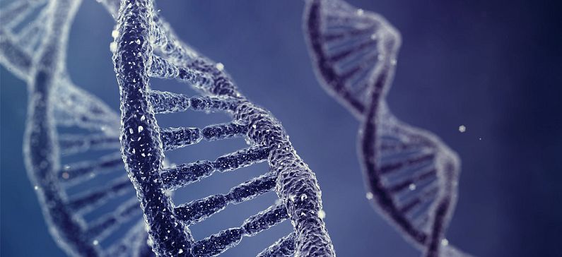 12 περιοχές του DNA επηρεάζουν πότε θα αποκτήσει κανείς το πρώτο παιδί και πόσο μεγάλη οικογένεια θα κάνει