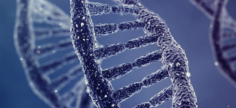 12 περιοχές του DNA επηρεάζουν πότε θα αποκτήσει κανείς το πρώτο παιδί και πόσο μεγάλη οικογένεια θα κάνει