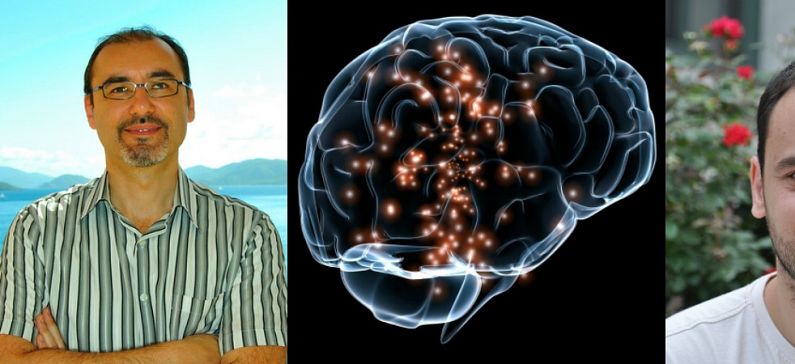 Greek researchers shed light in the human brain networks developing in adolescence
