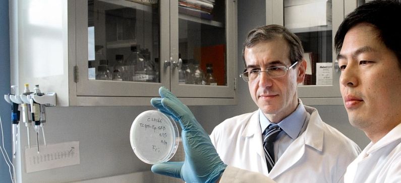 Greek researcher discovers potential antibiotic to kill superbugs