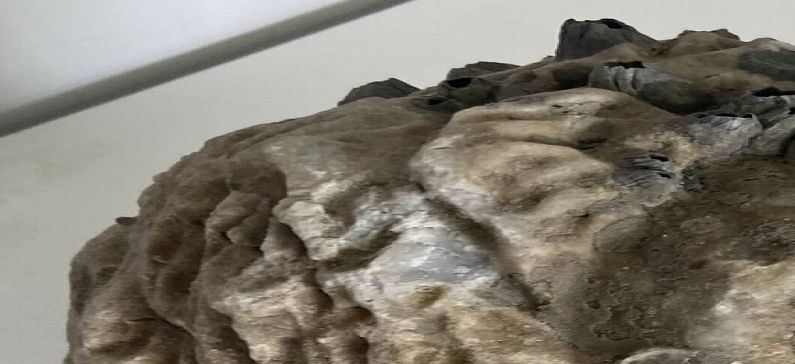 Ρωμαϊκή κεφαλή ανασύρθηκε από θαλάσσια περιοχή της Πρέβεζας