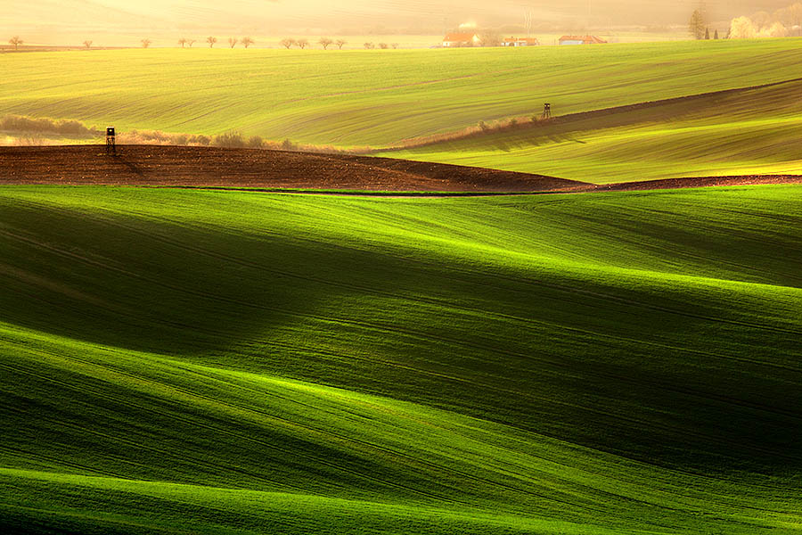 Moravian Fields, Czech Republic
