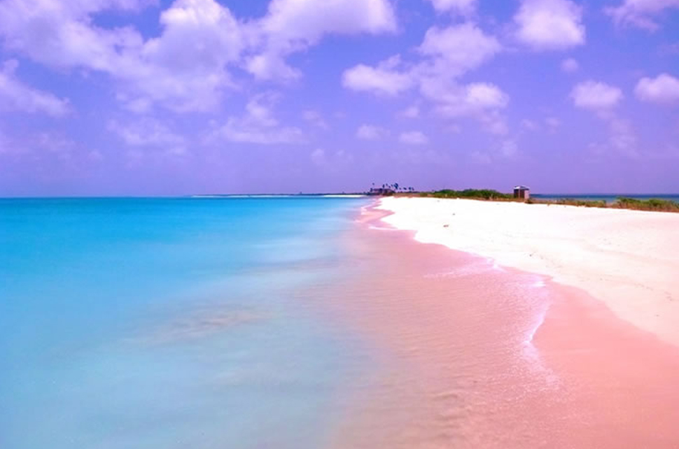Pink Beach of Harbor Island – Bahamas
