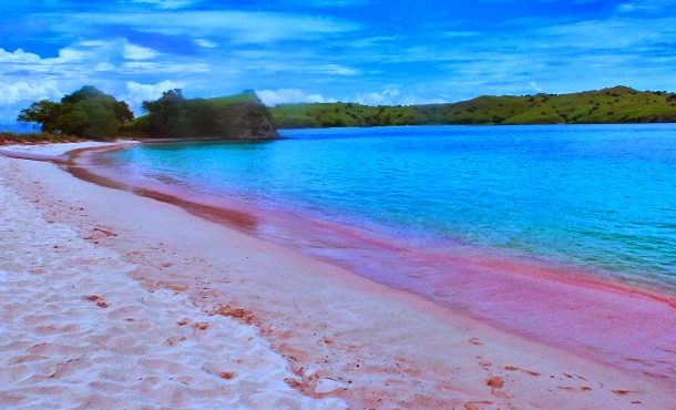 Pink Beach of Komodo – Indonesia