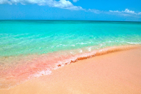 Pink Beaches of Barbuda – Caribbean Sea